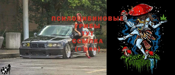 эйфоретик Алзамай