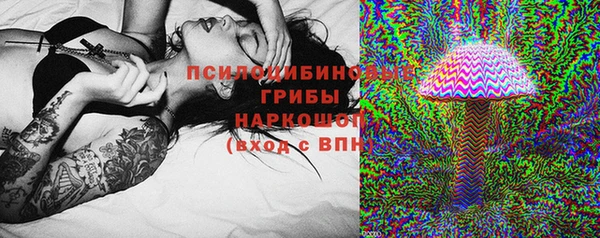 apvp Новозыбков